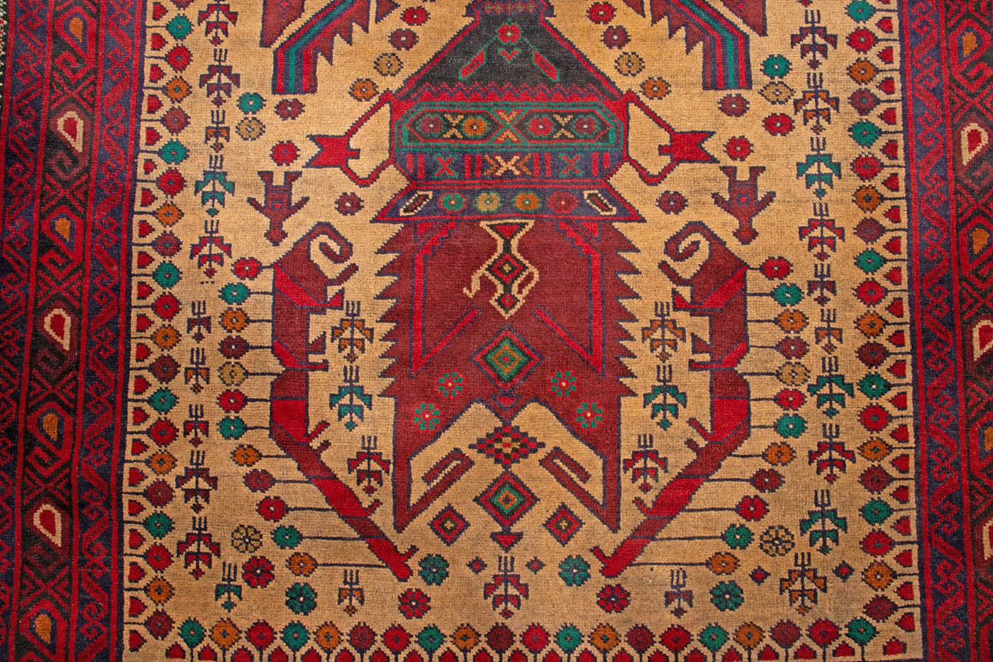 Baluch Afghan