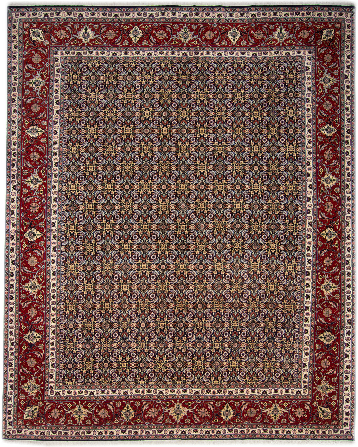 Orientale Tabriz 50 Raj