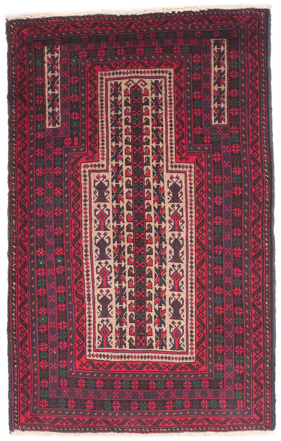 Baluch Afghan