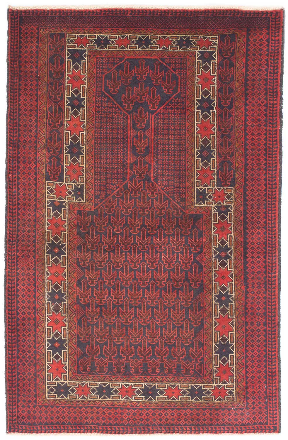 Baluch Afghan